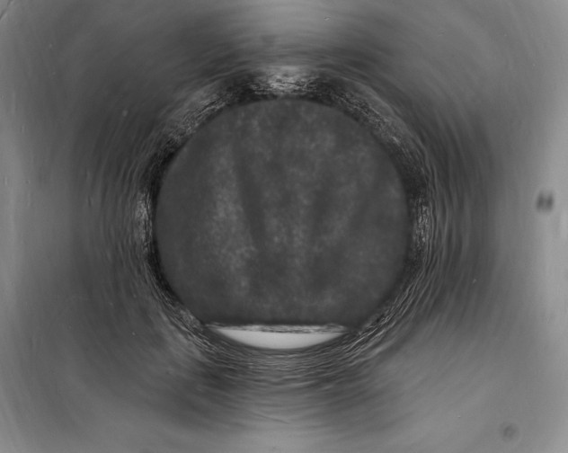 X0000098230651200805151342