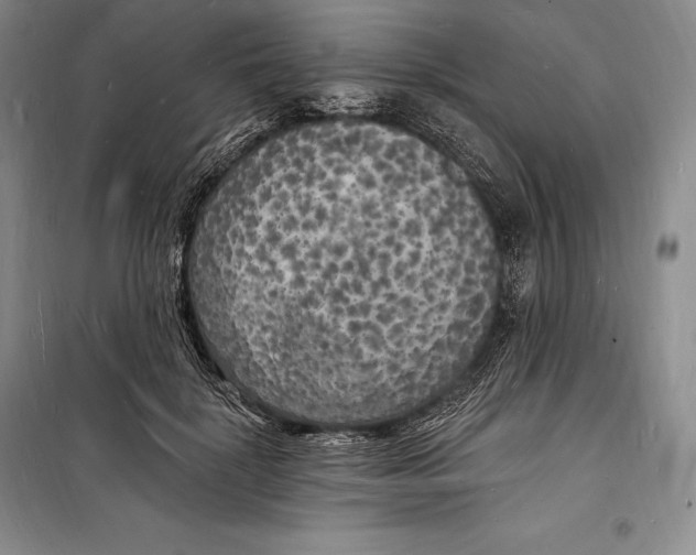 X0000098230652200805151342