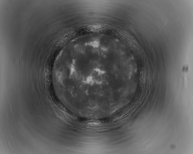 X0000098230653200805151342