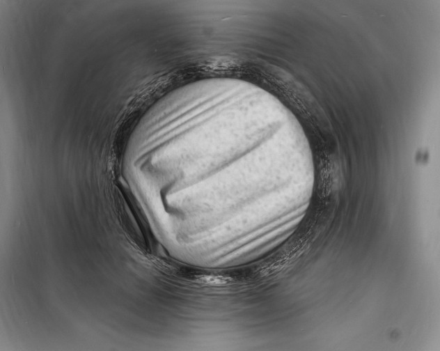 X0000098230654200805151342