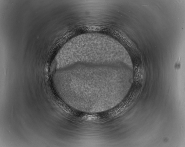 X0000098230655200805151342