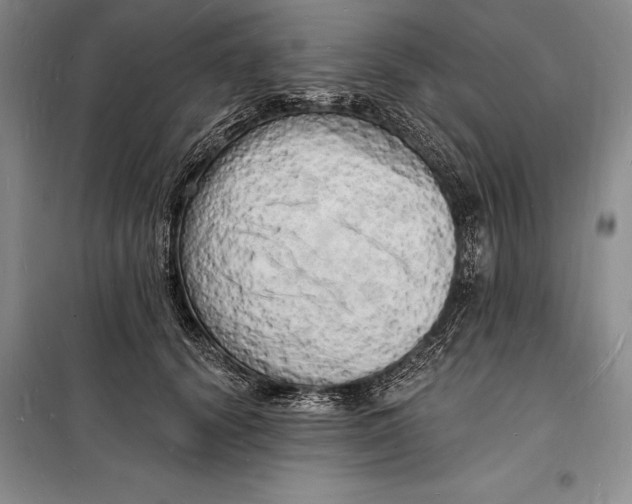 X0000098230656200805151342