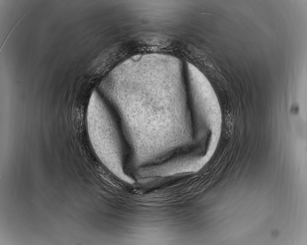 X0000098230657200805151342