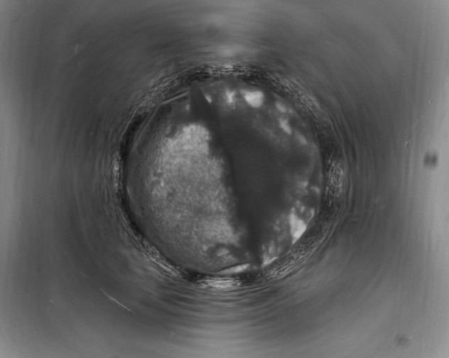 X0000098230659200805151342