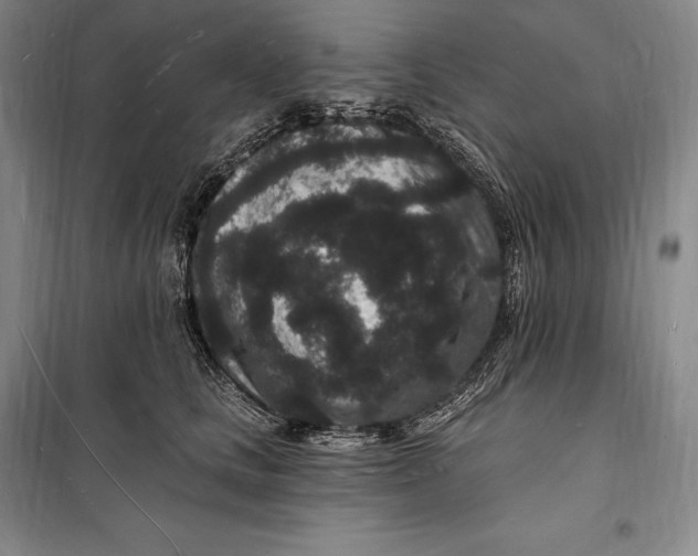 X0000098230661200805151342