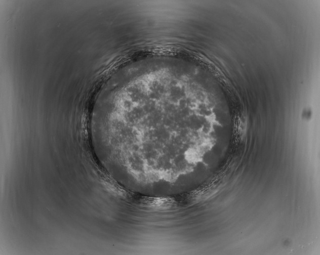 X0000098230663200805151342