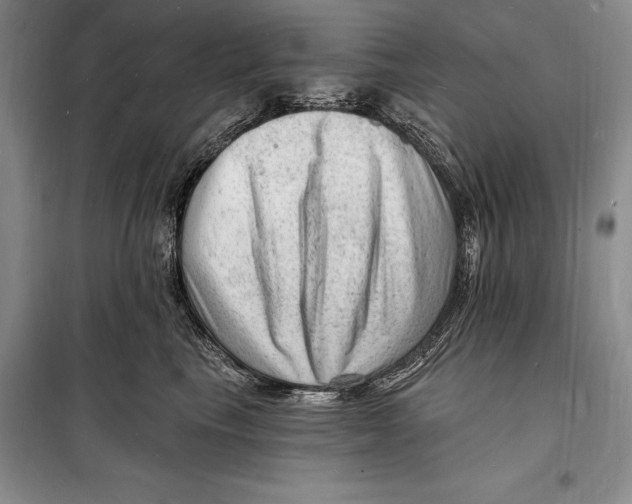 X0000098230665200805151342