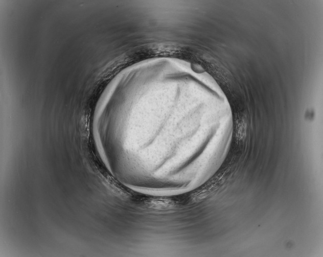 X0000098230666200805151342