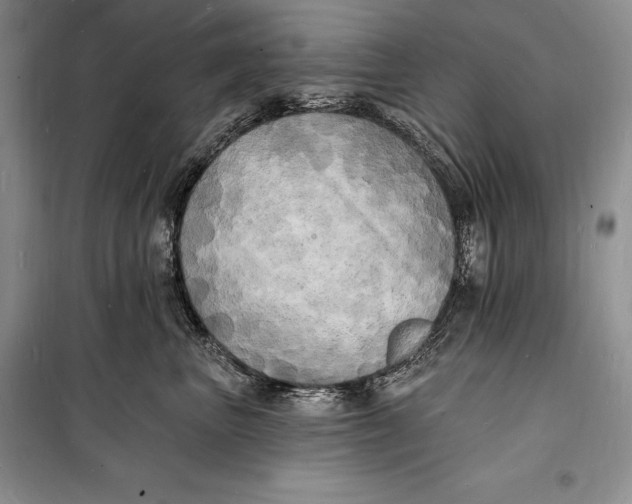 X0000098230667200805151342