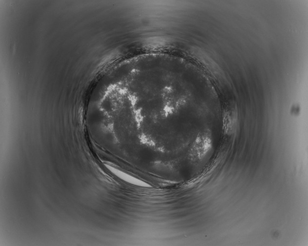 X0000098230670200805151342