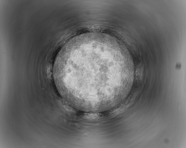 X0000098230671200805151342