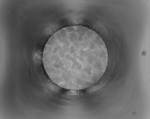 X0000098230672200805151342