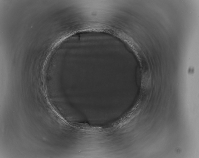 X0000098230673200805151342