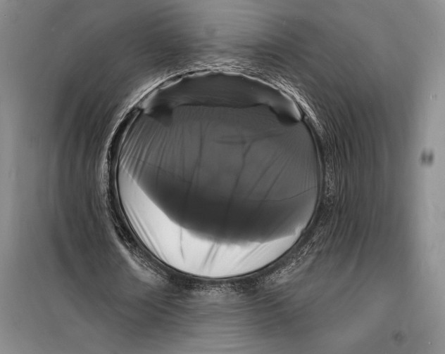 X0000098230674200805151342