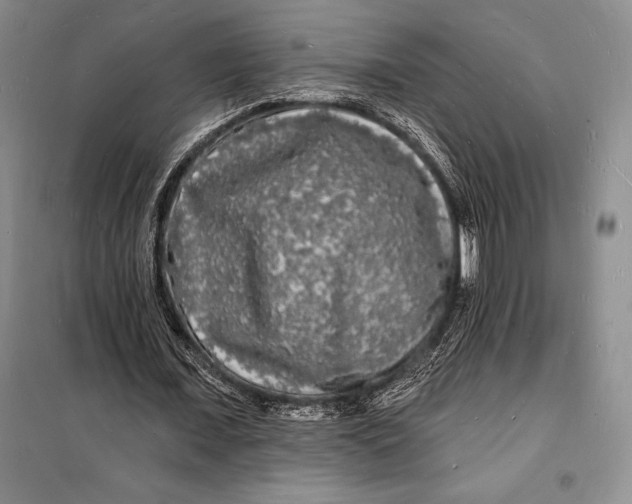 X0000098230675200805151342