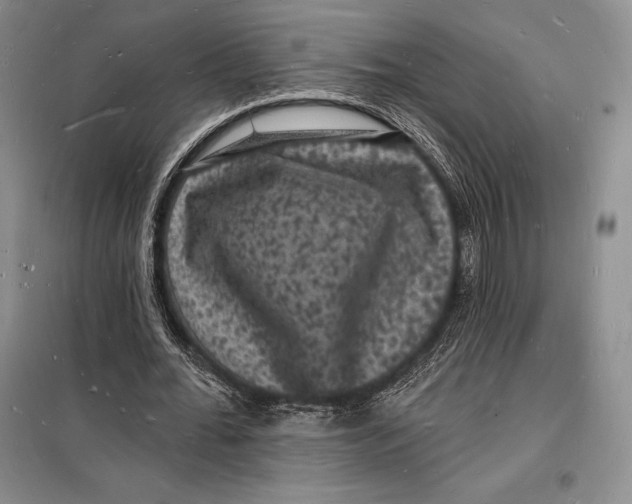 X0000098230676200805151342