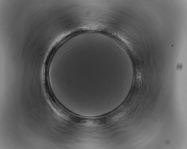 X0000098230678200805151342