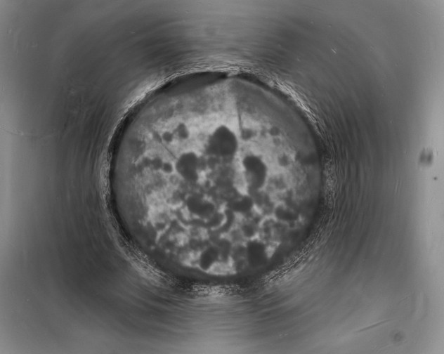 X0000098230679200805151342