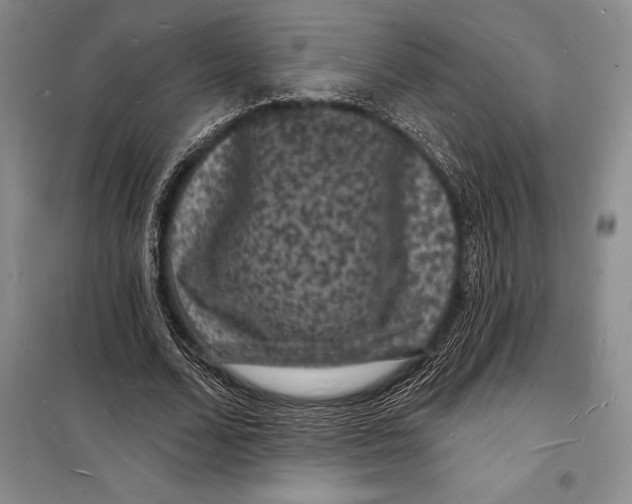 X0000098230680200805151342