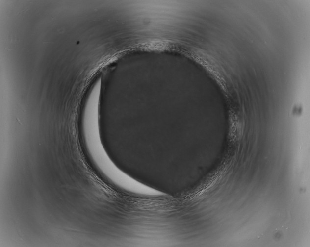 X0000098230681200805151342