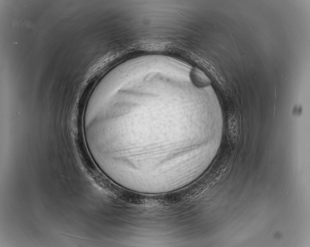 X0000098230682200805151342