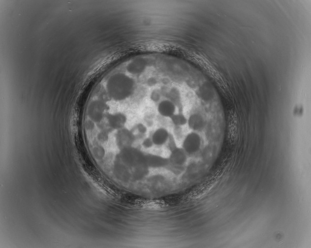 X0000098230683200805151341