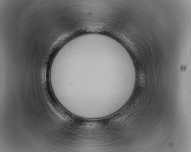 X0000098230686200805151341