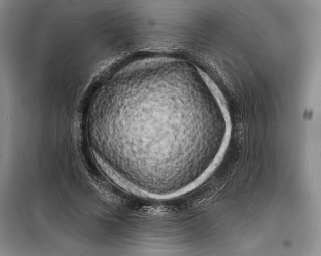 X0000098230688200805151341