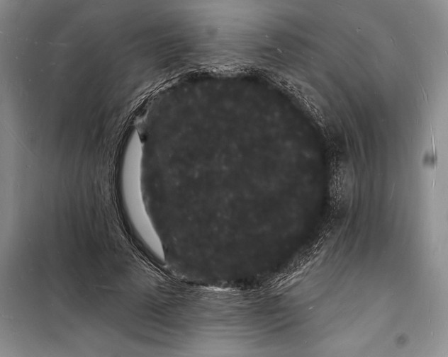 X0000098230689200805151341