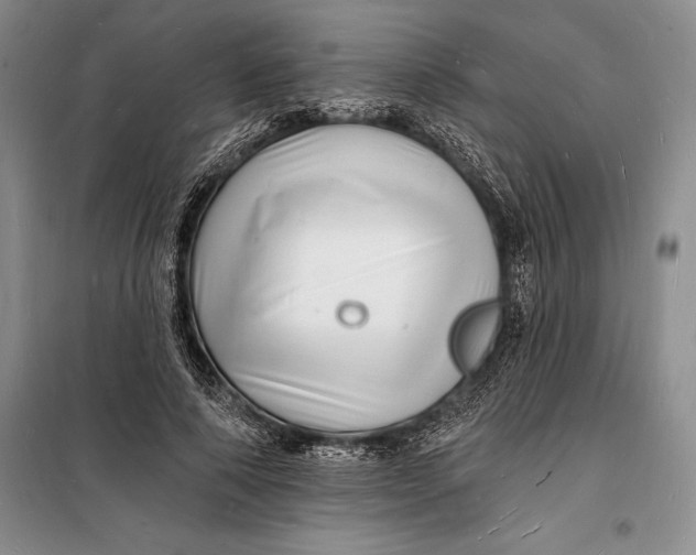 X0000098230690200805151341