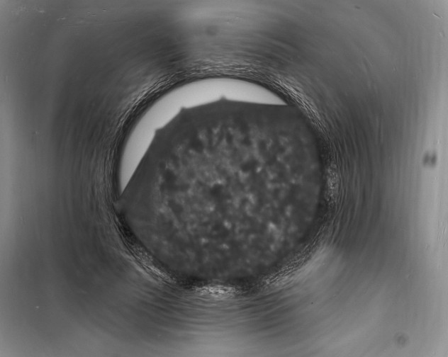 X0000098230691200805151341