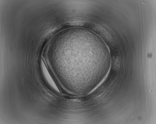 X0000098230692200805151341