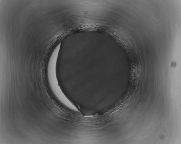 X0000098230693200805151341