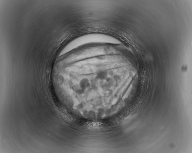 X0000098230695200805151341