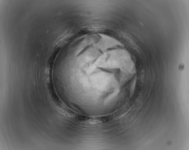 X0000098230696200805151341