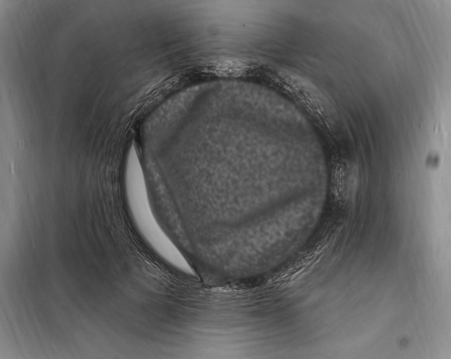 X0000098230697200805151341