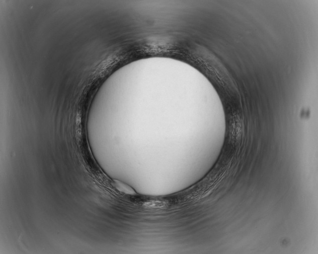 X0000098230700200805151341