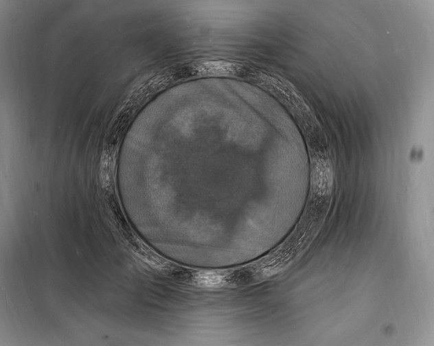 X0000098230701200805151341