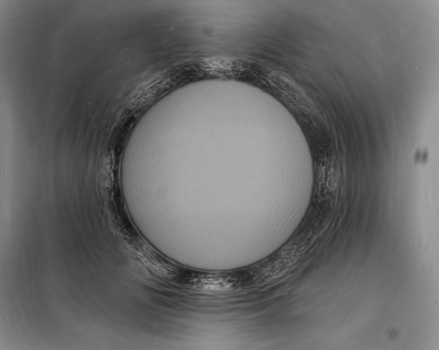 X0000098230702200805151341