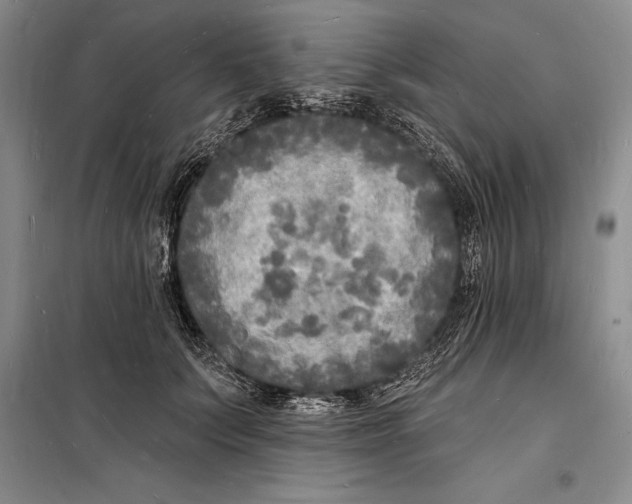 X0000098230703200805151341