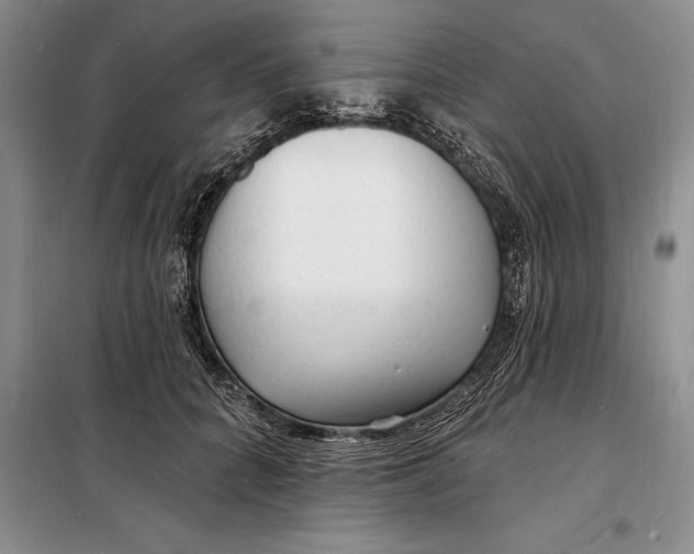 X0000098230704200805151341