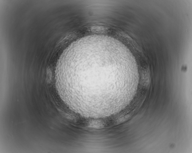 X0000098230705200805151341