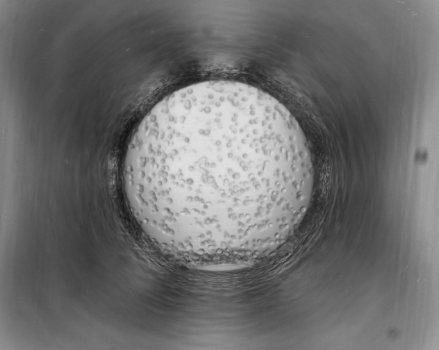 X0000098230708200805151341