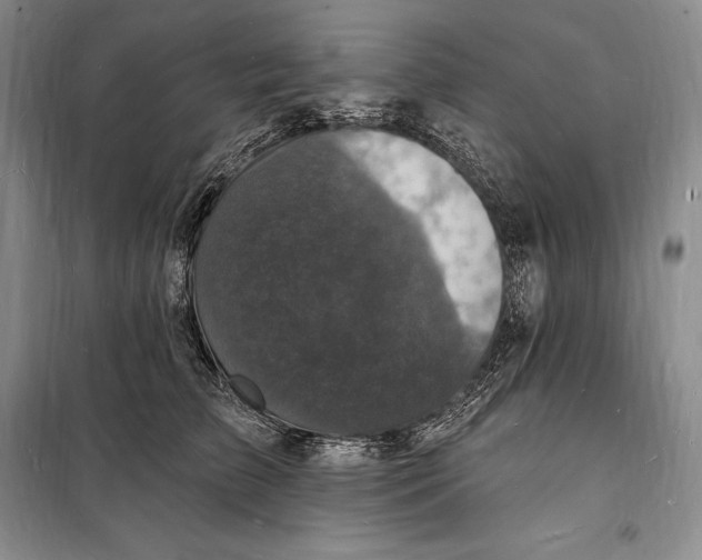 X0000098230709200805151341