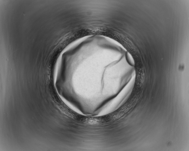 X0000098230710200805151341