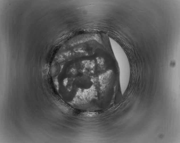 X0000098230711200805151341