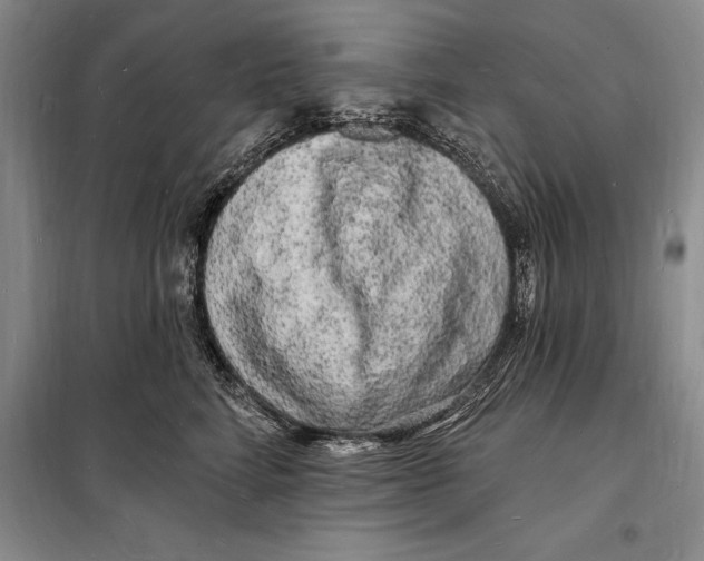 X0000098230712200805151341