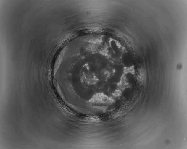 X0000098230715200805151341