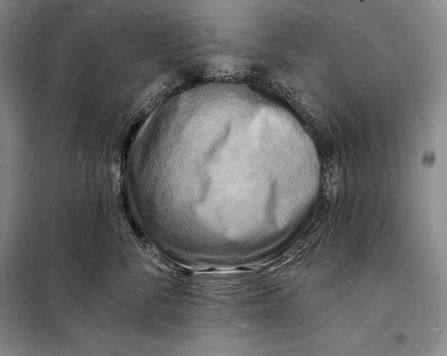 X0000098230716200805151341