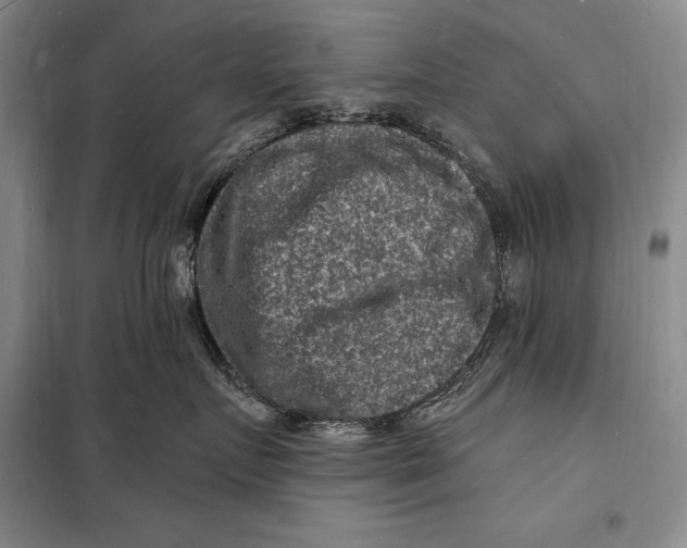 X0000098230719200805151341